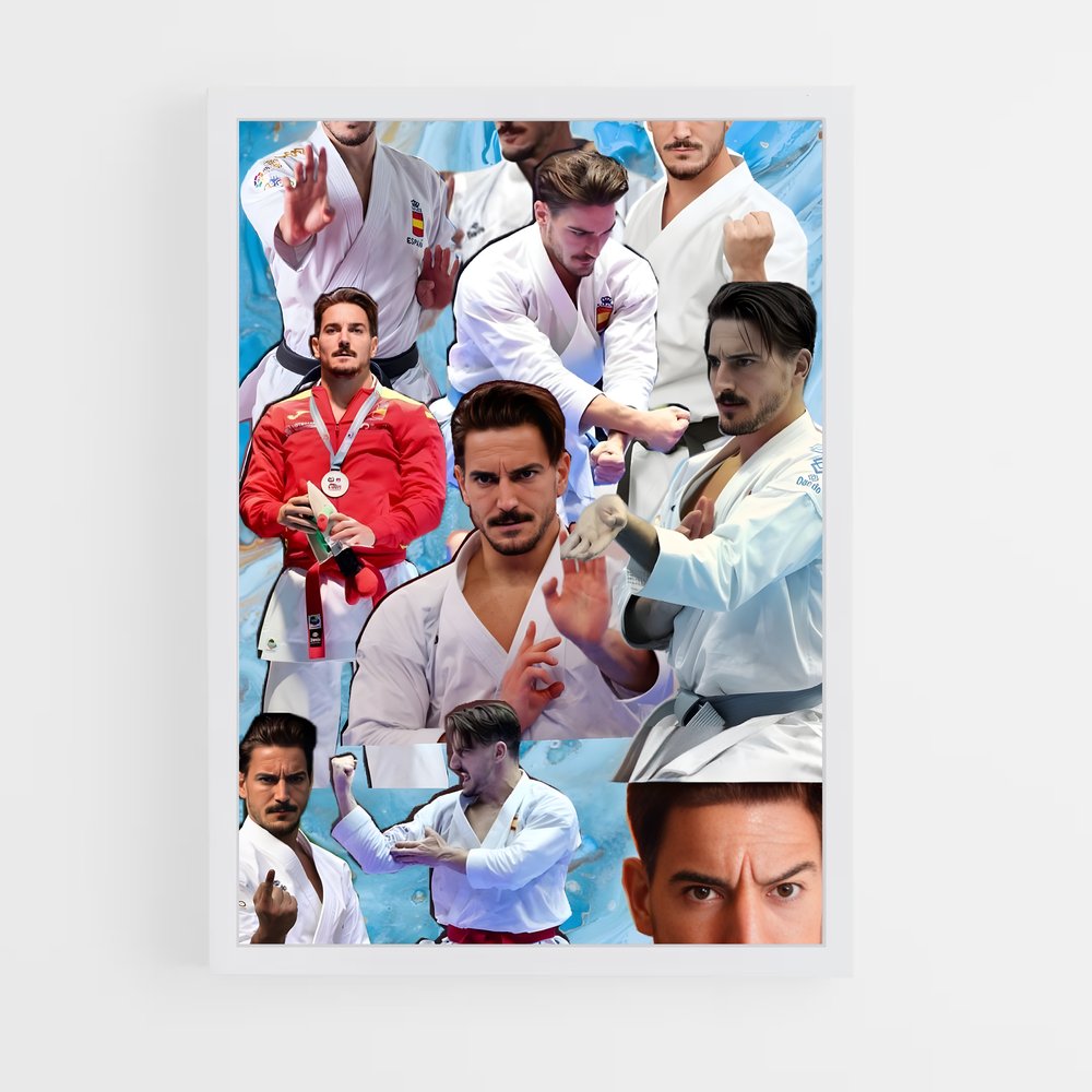 Poster Maîtrise du Karaté (vue 3)